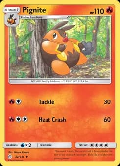 Pignite card in English