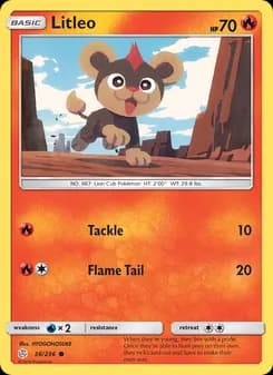 Litleo card in English