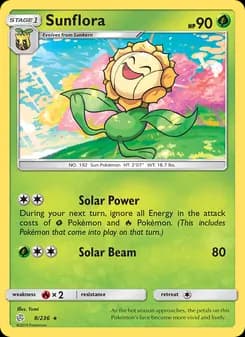Sunflora card in English