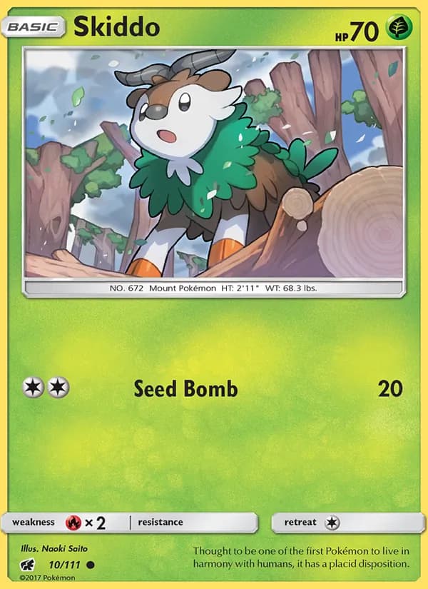 Skiddo card in English