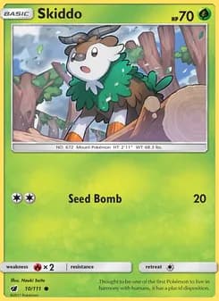 Skiddo card in English