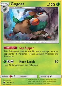 Gogoat card in English