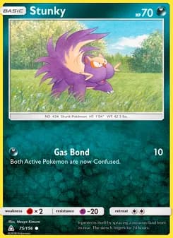Stunky card in English