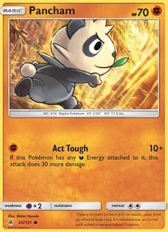 Pancham card in English