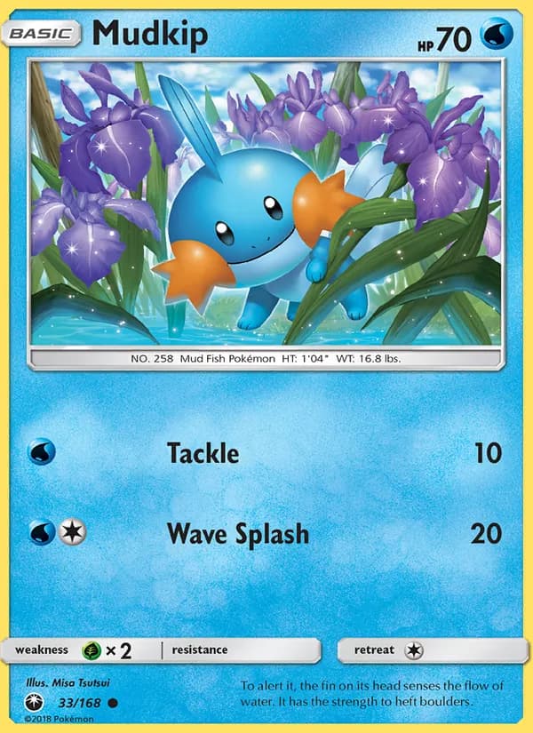 Mudkip card in English