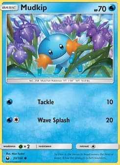 Mudkip card in English