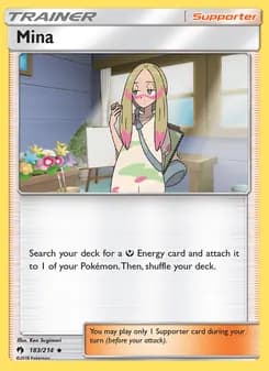 Mina card in English