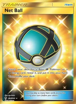 Net Ball card in English