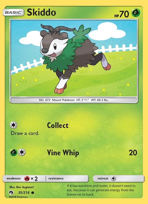 Skiddo card in English