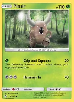 Pinsir card in English
