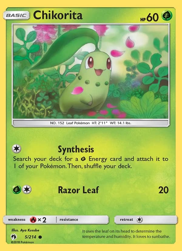 Chikorita card in English