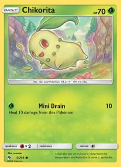 Chikorita card in English