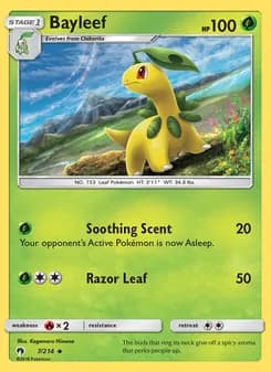 Bayleef card in English
