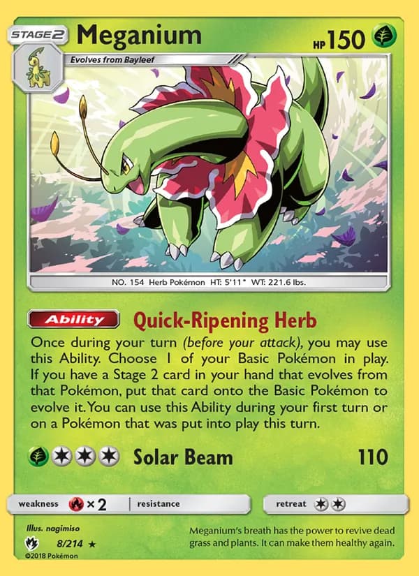 Meganium card in English