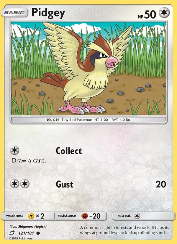 Pidgey card in English
