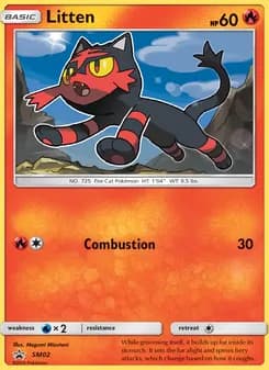 Litten card in English