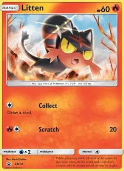 Litten card in English