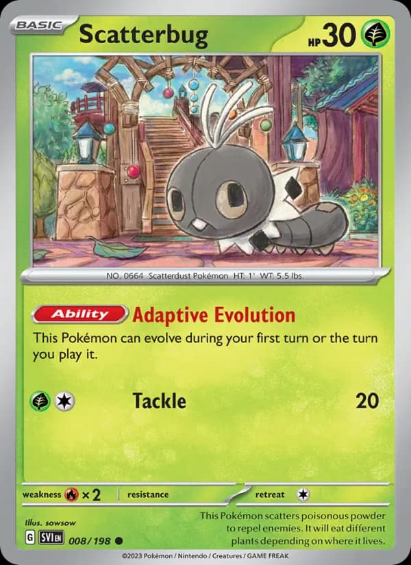 Scatterbug card in English