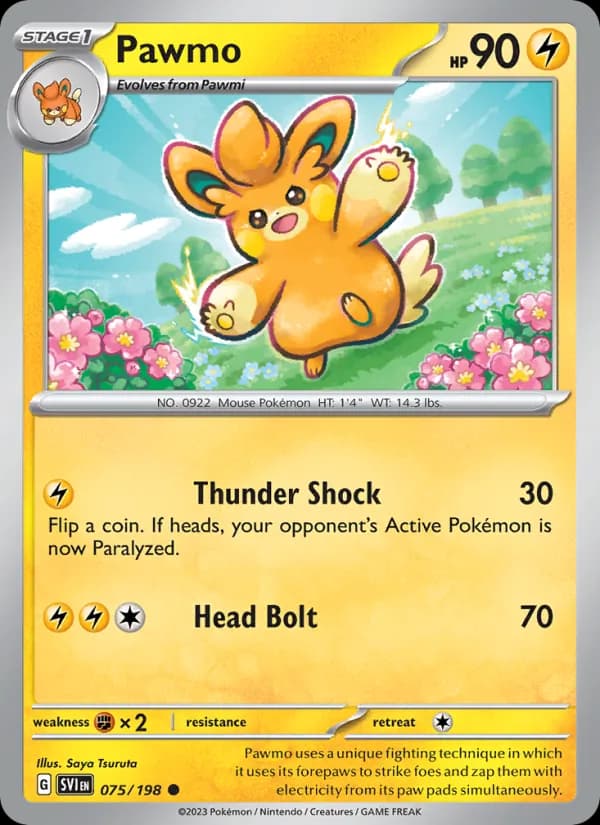 Pawmo card in English