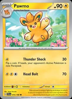 Pawmo card in English
