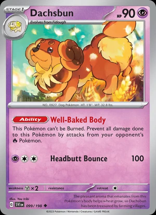 Dachsbun card in English
