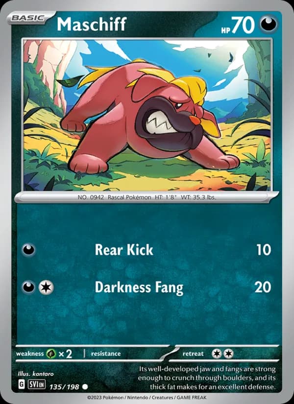 Maschiff card in English