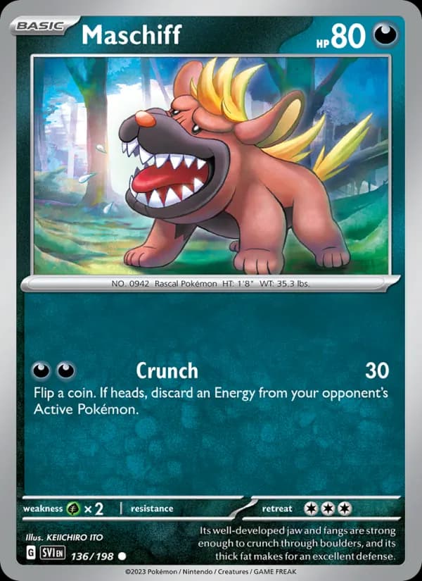 Maschiff card in English