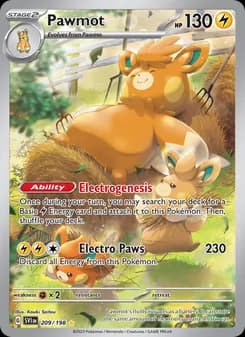 Pawmot card in English