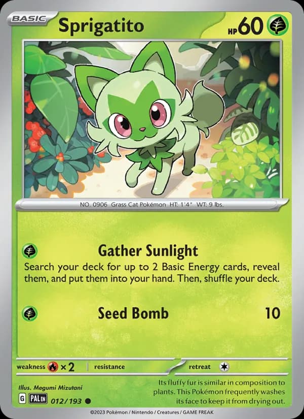 Sprigatito card in English