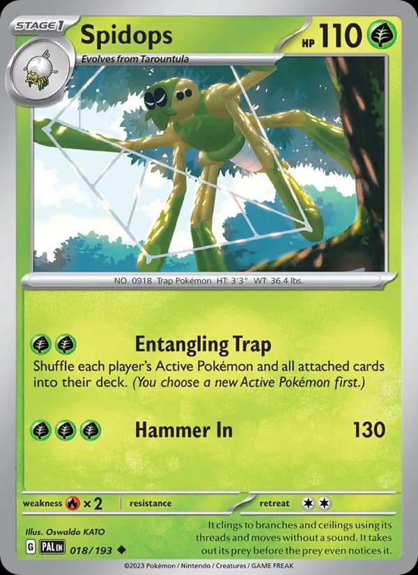 Spidops card in English