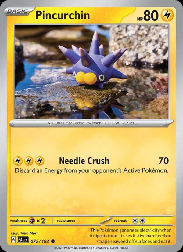 Pincurchin card in English