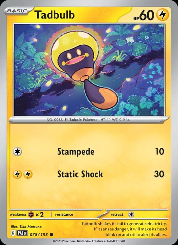 Tadbulb card in English
