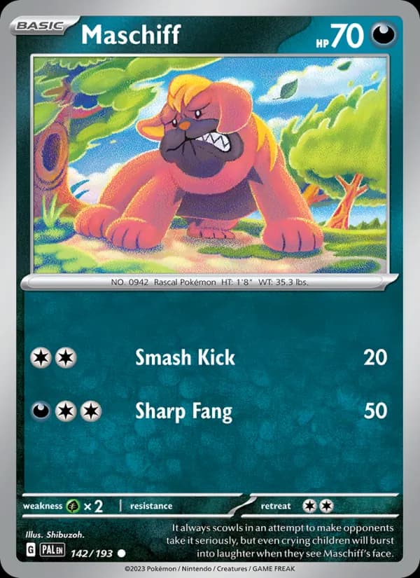 Maschiff card in English