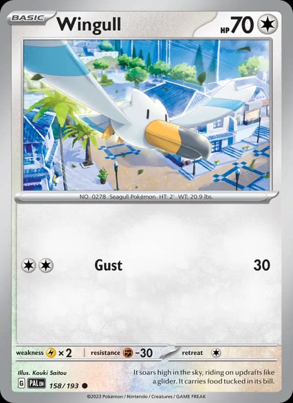 Wingull card in English