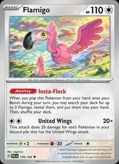 Flamigo card in English