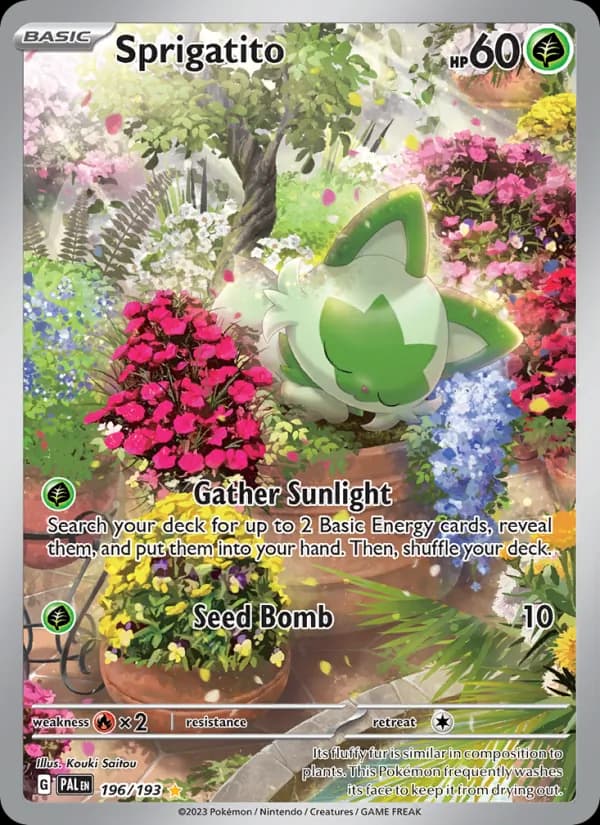 Sprigatito card in English