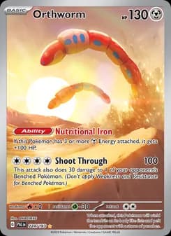 Orthworm card in English