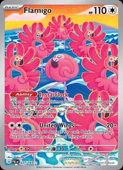 Flamigo card in English