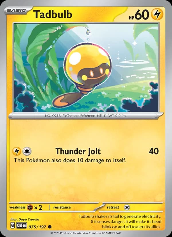 Tadbulb card in English
