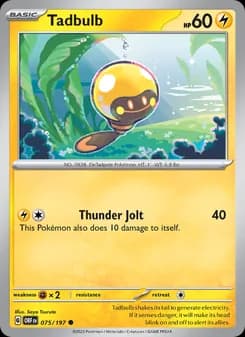 Tadbulb card in English