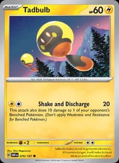 Tadbulb card in English