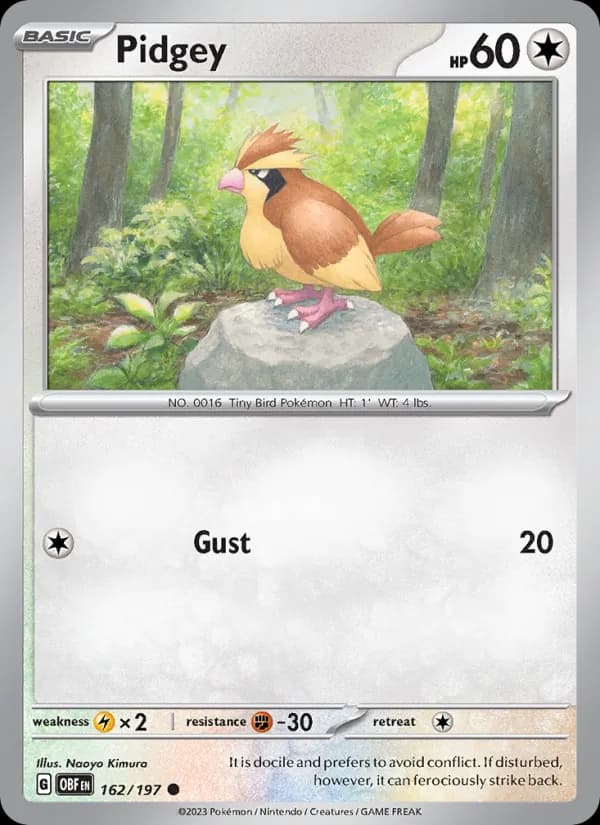 Pidgey card in English