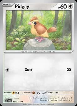 Pidgey card in English