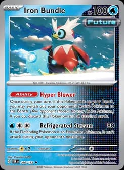 Iron Bundle card in English