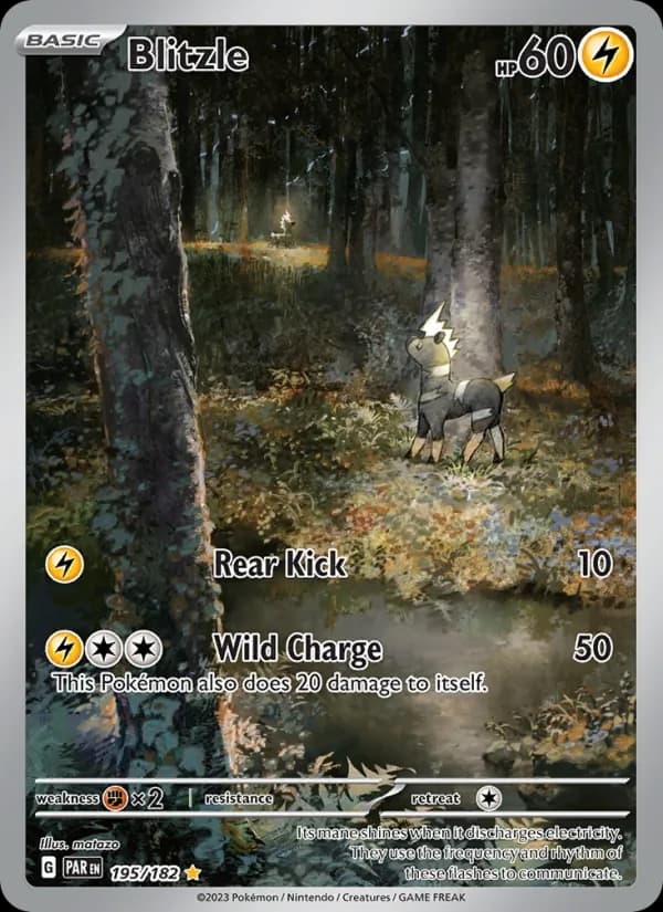 Blitzle card in English