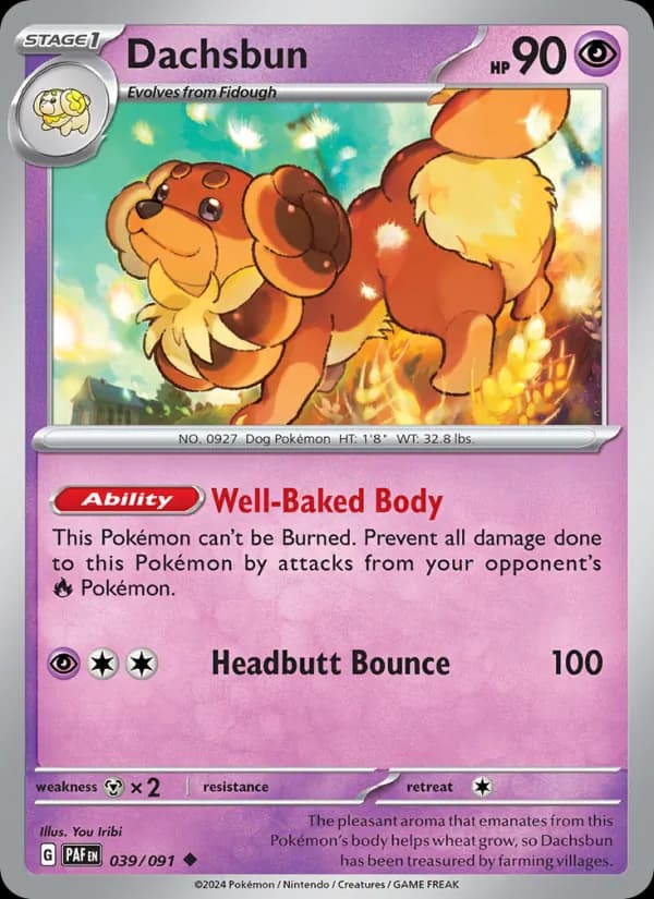 Dachsbun card in English