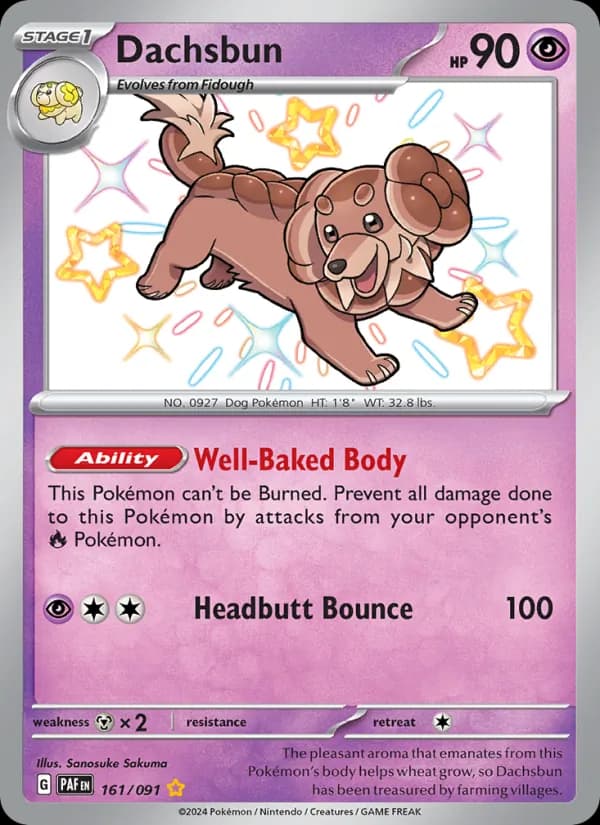 Dachsbun card in English