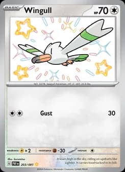 Wingull card in English