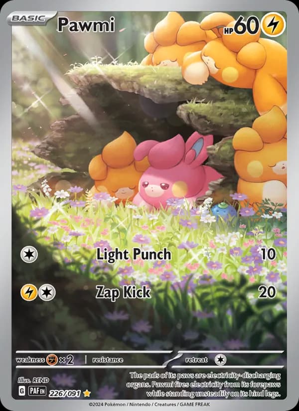 Pawmi card in English