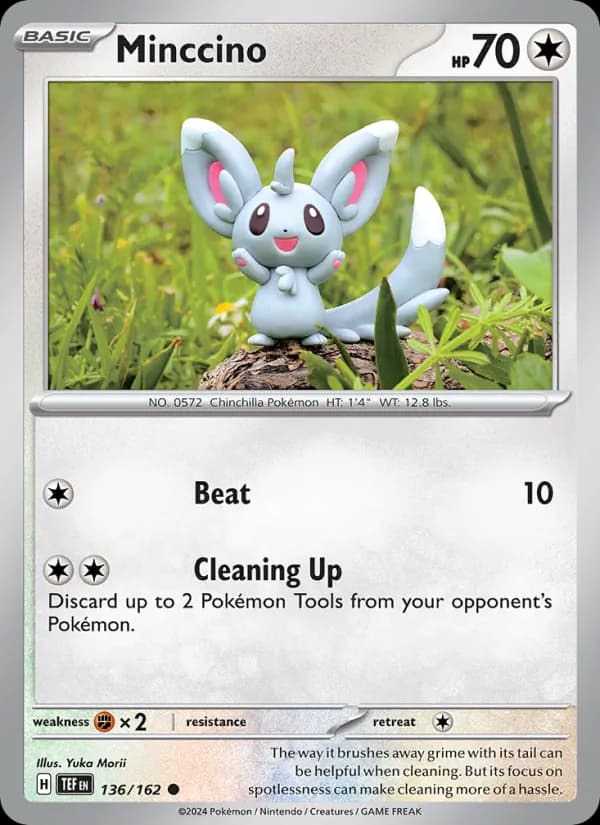 Minccino card in English